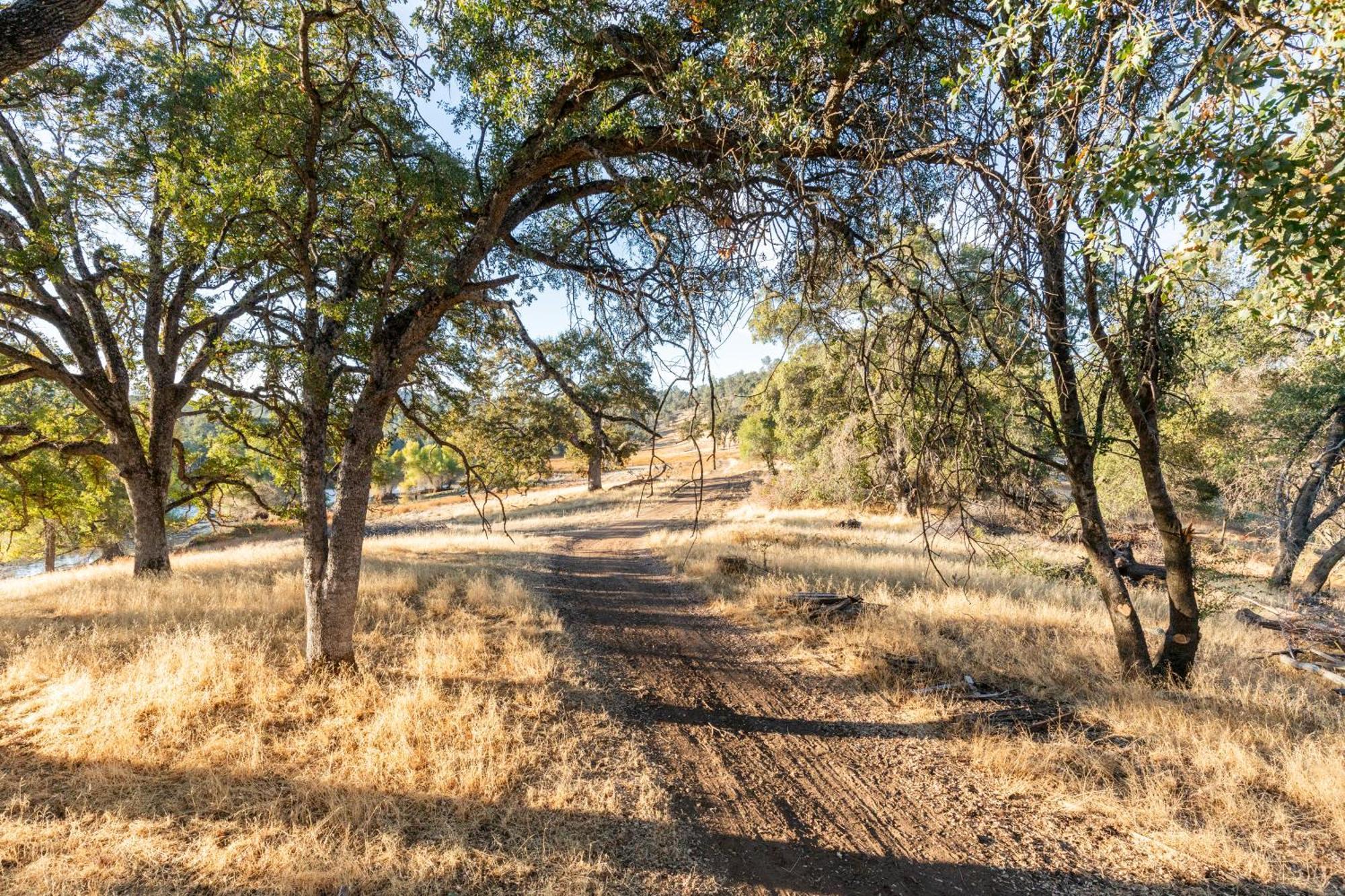 Rolling Oaks Ranch - 200 Acres Of Lakeside Beauty & Countryside Serenity Mariposa Ngoại thất bức ảnh