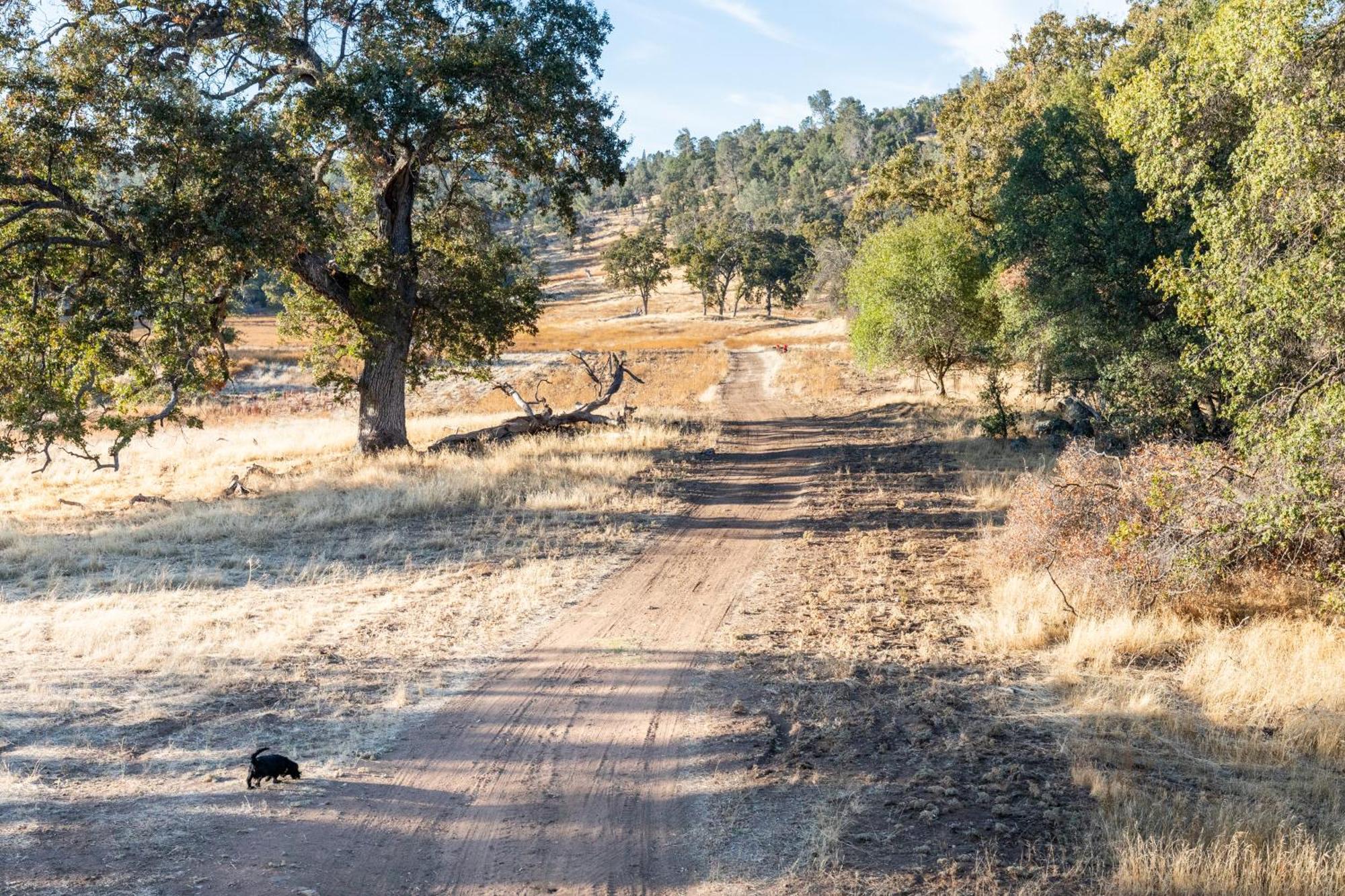Rolling Oaks Ranch - 200 Acres Of Lakeside Beauty & Countryside Serenity Mariposa Ngoại thất bức ảnh