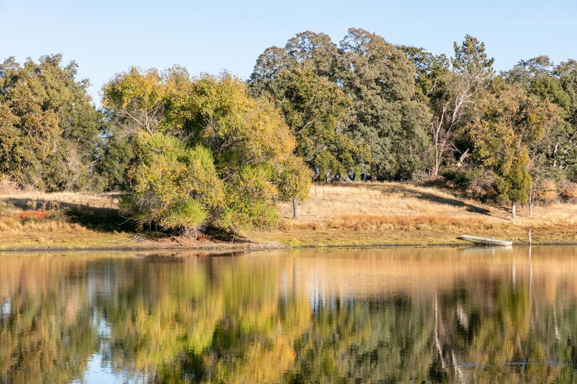 Rolling Oaks Ranch - 200 Acres Of Lakeside Beauty & Countryside Serenity Mariposa Ngoại thất bức ảnh