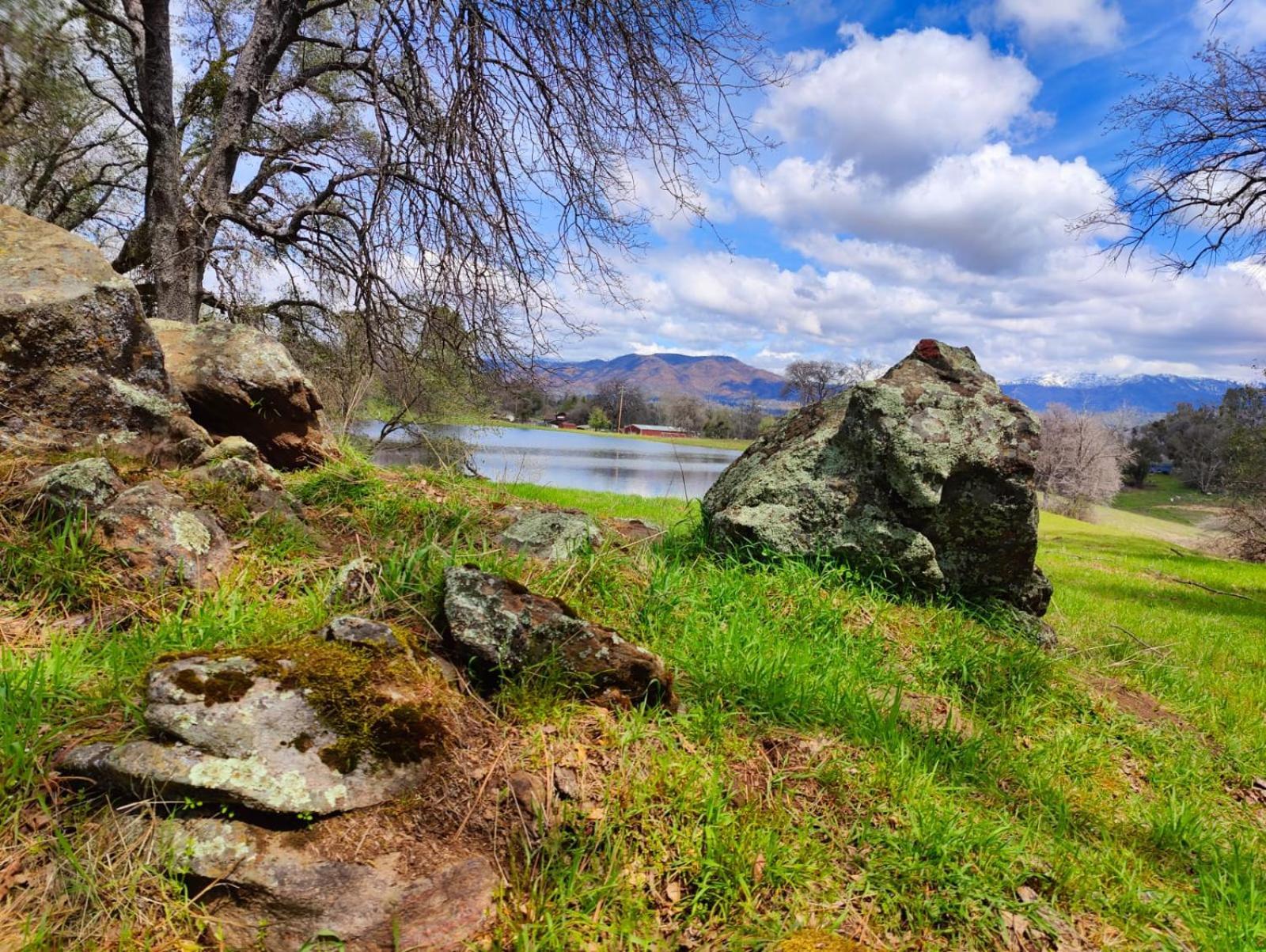 Rolling Oaks Ranch - 200 Acres Of Lakeside Beauty & Countryside Serenity Mariposa Ngoại thất bức ảnh
