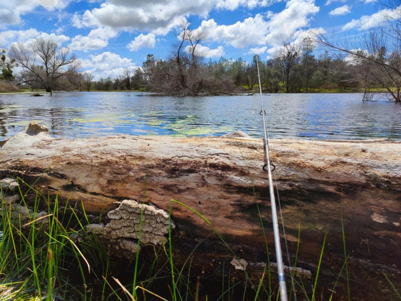 Rolling Oaks Ranch - 200 Acres Of Lakeside Beauty & Countryside Serenity Mariposa Ngoại thất bức ảnh