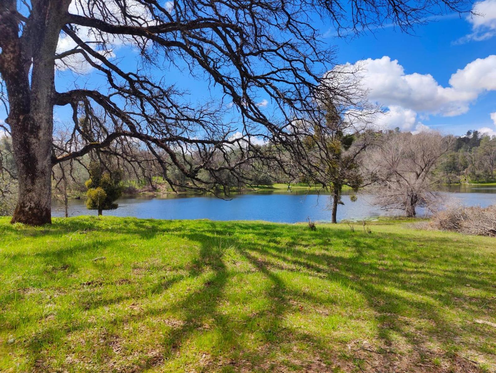 Rolling Oaks Ranch - 200 Acres Of Lakeside Beauty & Countryside Serenity Mariposa Ngoại thất bức ảnh